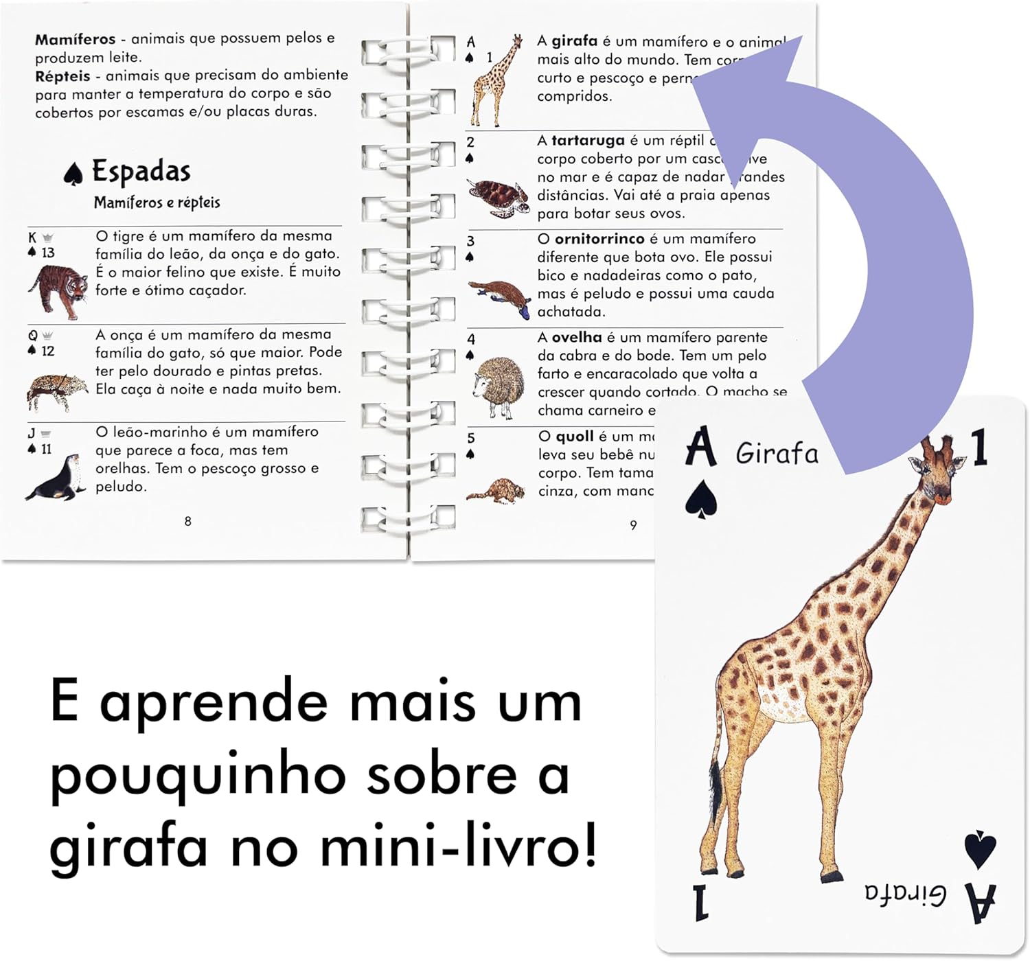 Baralho Infantil Didático com Animais da Bicharada de A a Z | Bichonaipes | Para jogar, contar e conhecer Animais | Animais separados por naipe | Para todos os jogos de cartas - Imagem 3