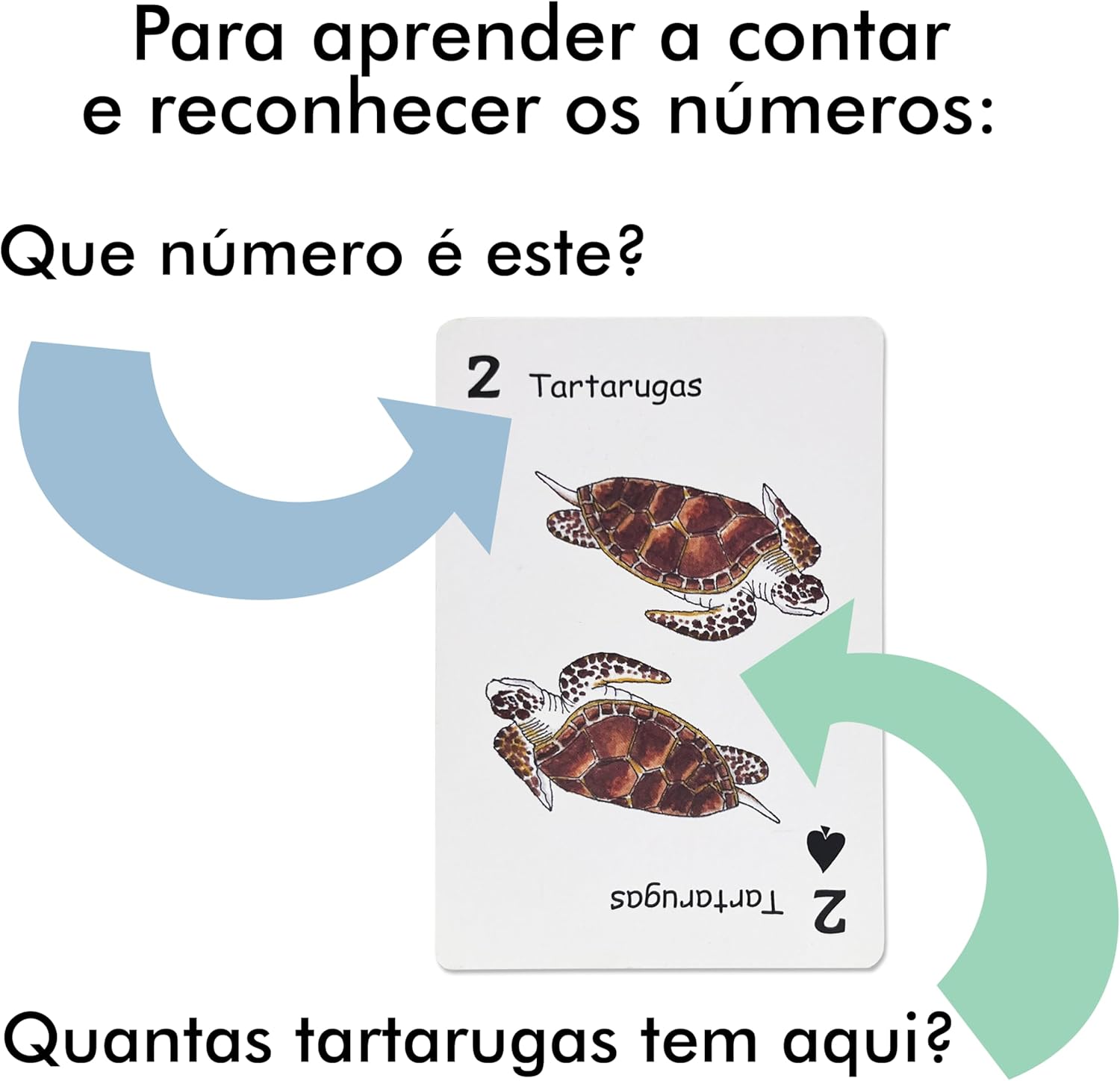 Baralho Infantil Didático com Animais da Bicharada de A a Z | Bichonaipes | Para jogar, contar e conhecer Animais | Animais separados por naipe | Para todos os jogos de cartas - Imagem 4