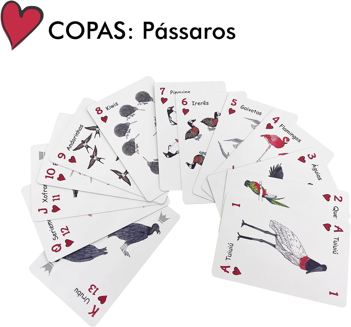 Baralho Infantil Didático com Animais da Bicharada de A a Z | Bichonaipes | Para jogar, contar e conhecer Animais | Animais separados por naipe | Para todos os jogos de cartas - Imagem 5