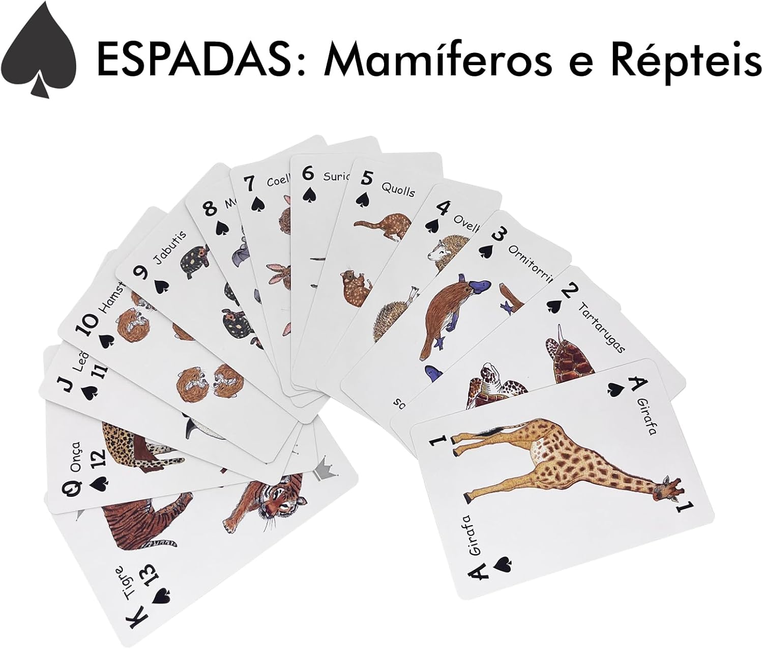 Baralho Infantil Didático com Animais da Bicharada de A a Z | Bichonaipes | Para jogar, contar e conhecer Animais | Animais separados por naipe | Para todos os jogos de cartas - Imagem 6