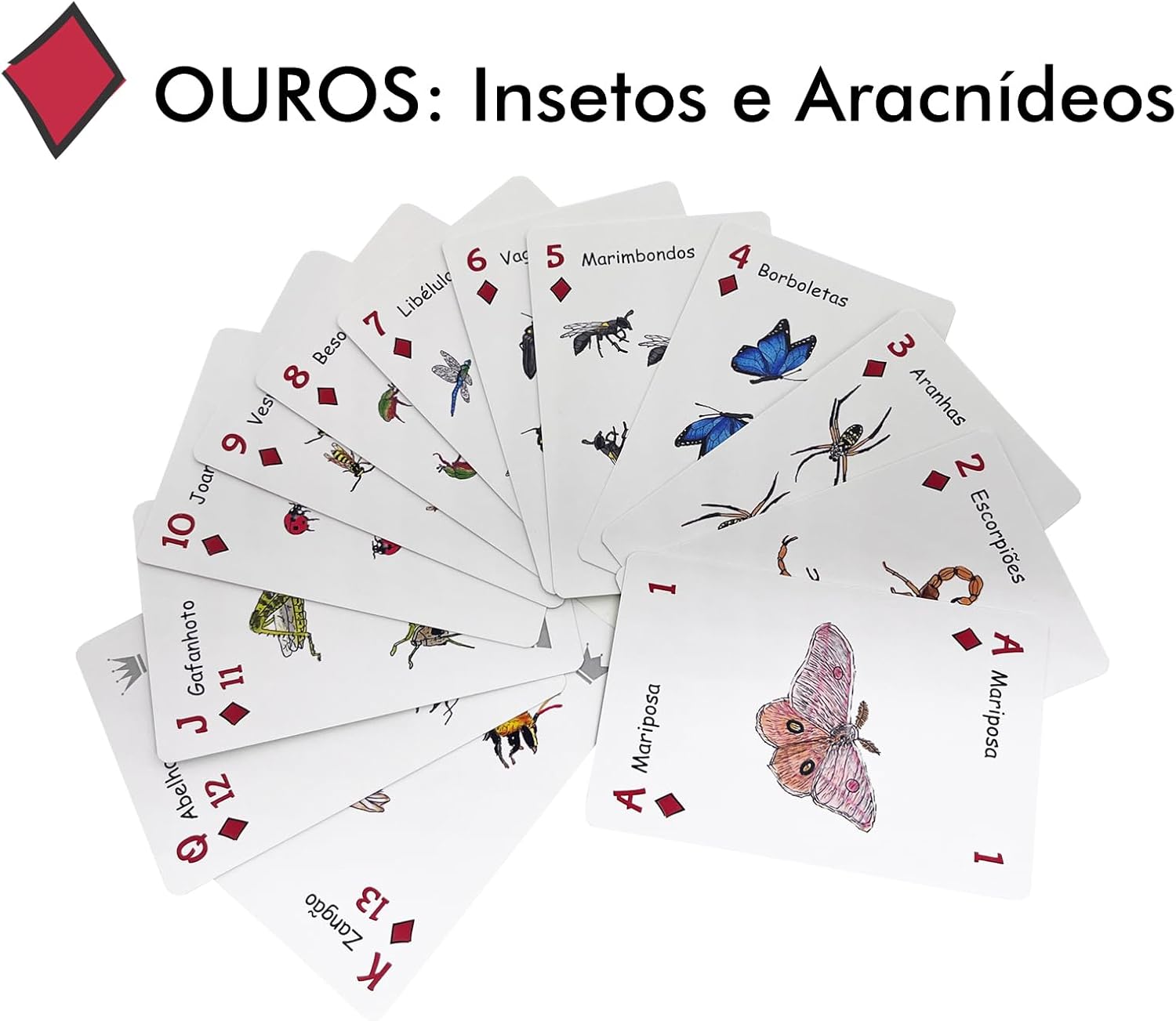 Baralho Infantil Didático com Animais da Bicharada de A a Z | Bichonaipes | Para jogar, contar e conhecer Animais | Animais separados por naipe | Para todos os jogos de cartas - Imagem 7