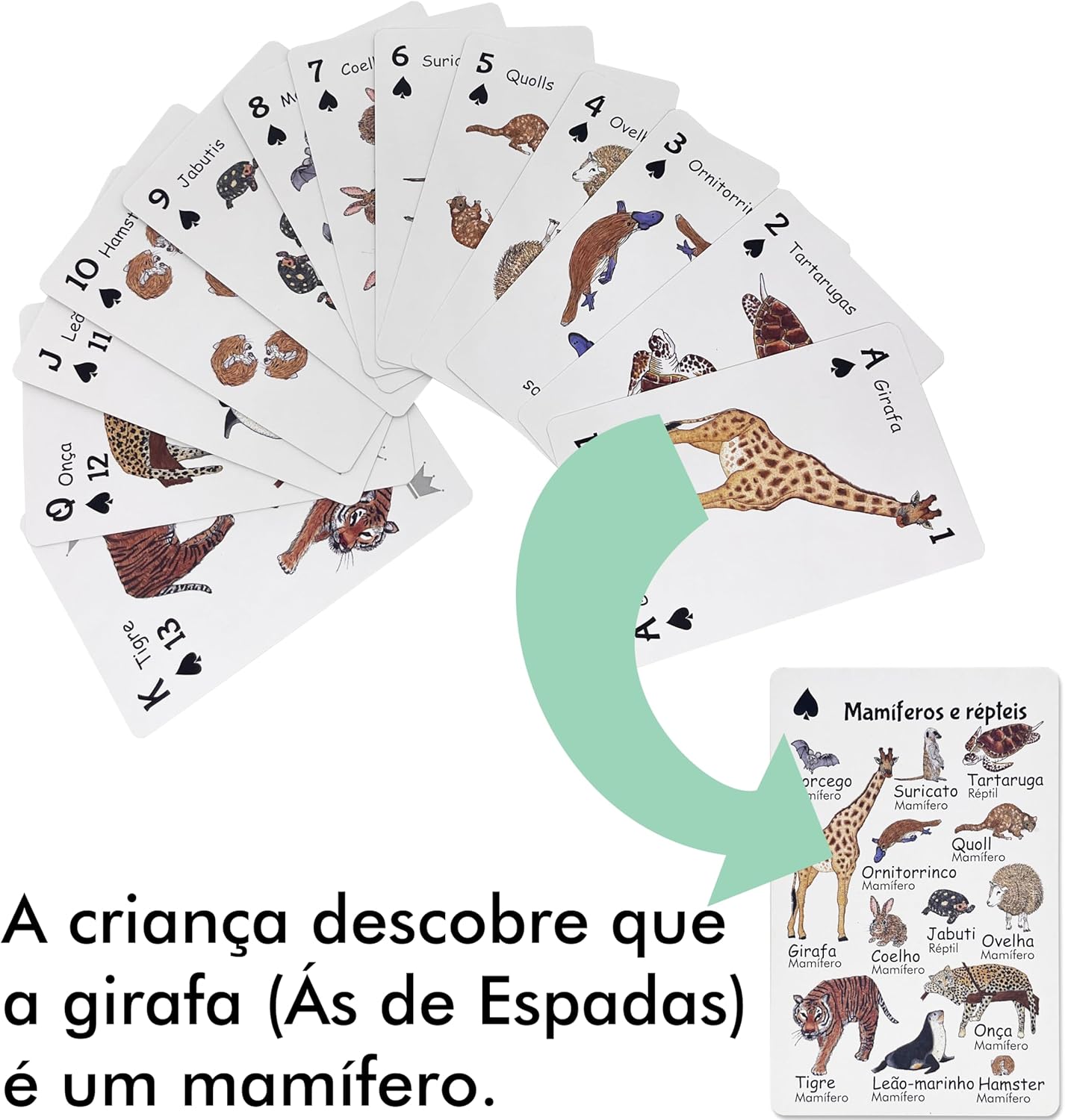 Baralho Infantil Didático com Animais da Bicharada de A a Z | Bichonaipes | Para jogar, contar e conhecer Animais | Animais separados por naipe | Para todos os jogos de cartas - Imagem 2